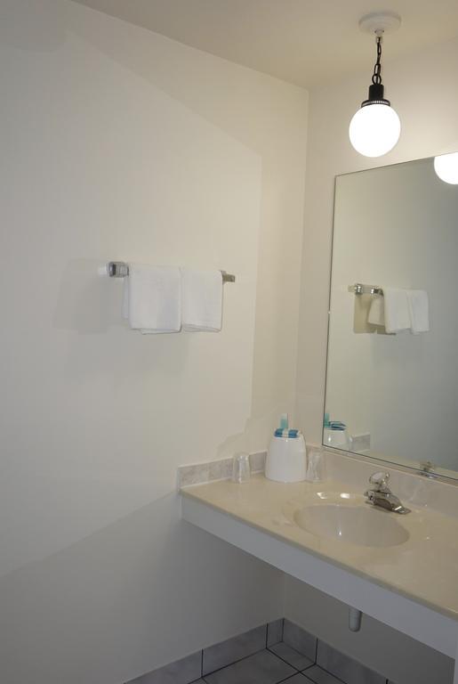 D-Lux Budget Inn Lemont エクステリア 写真